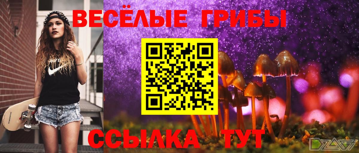 Шелехов  где найти наркотики  Псилоцибиновые грибы мицелий  Вход с VPN  Галлюциногенные грибы мицелий 